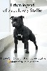  - urban légend of black lovey staffie dispo en sailli 