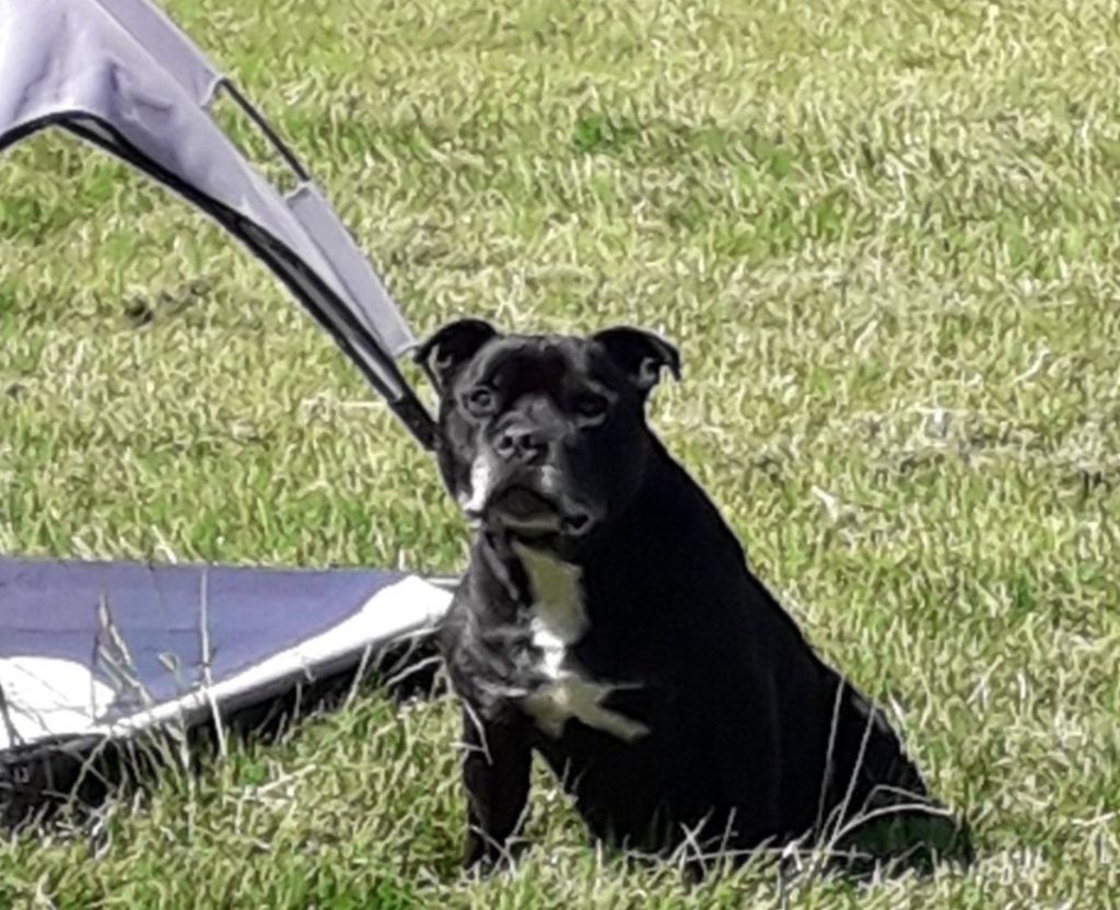 Fonzie (Sans Affixe)